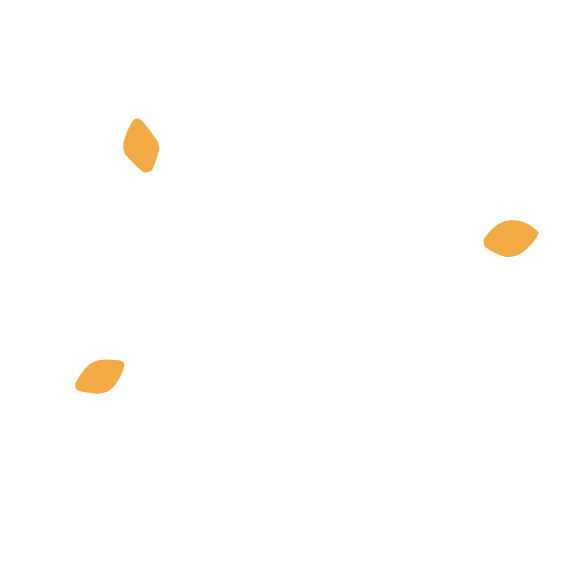 Logo FYZIS