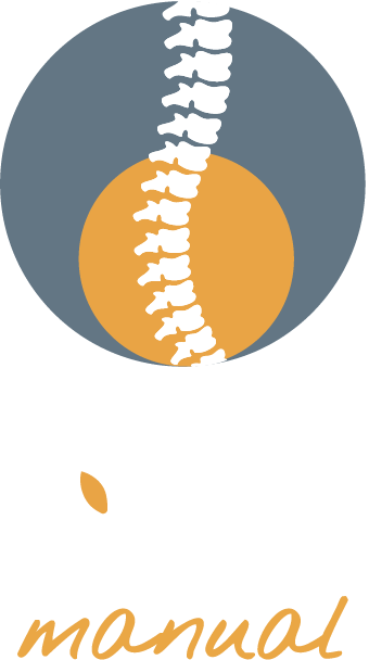 FYZIS manual