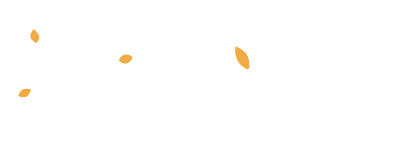 Logo FYZIS