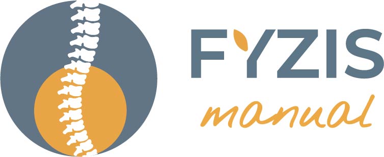 FYZIS manual