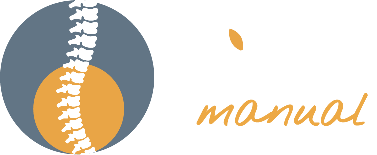 FYZIS manual