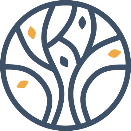 Logo FYZIS